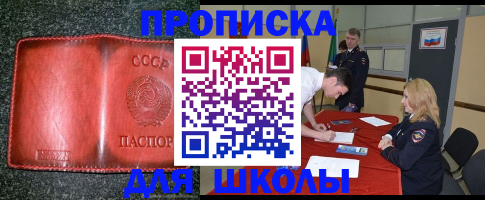 прописка в квартире в Бабаево